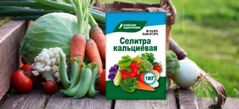 Как использовать кальциевую селитру?