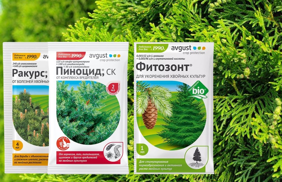 Весенняя обработка хвойников
